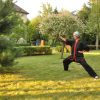 Qigong w Cieszynie to zajęcia dla początkujących o charakterze rehabilitacyjnym. Cwiczenia qigong pomagają w utrzymaniu ciała w dobrym stanie zdrowotnym zapewniając prawidłowe krążenie energii w ciele.