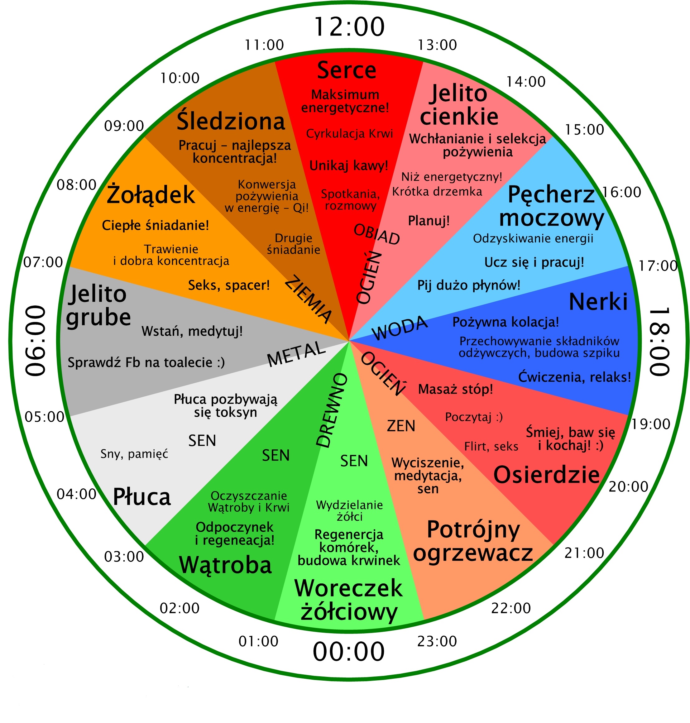 Zegar obiegu energii w meridianach | Iwona Korlacka - zdrowy styl życia